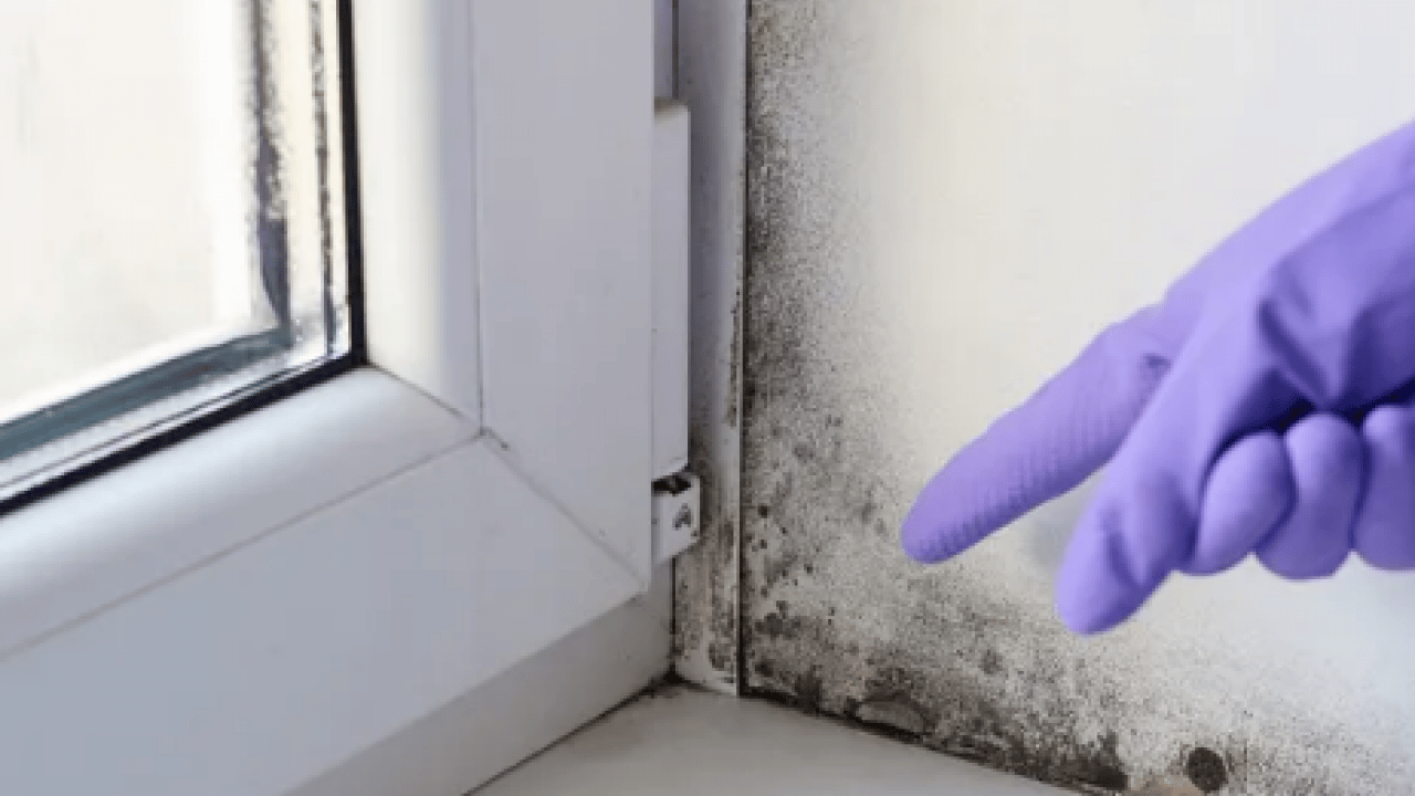 Foto - Öyle bir hamle yapın ki... Eski evlerde bile rutubeti bitiren...