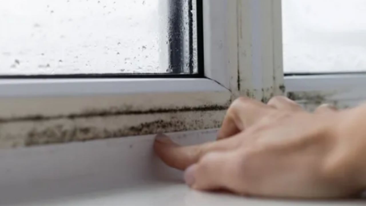 Foto - Öyle bir hamle yapın ki... Eski evlerde bile rutubeti bitiren...