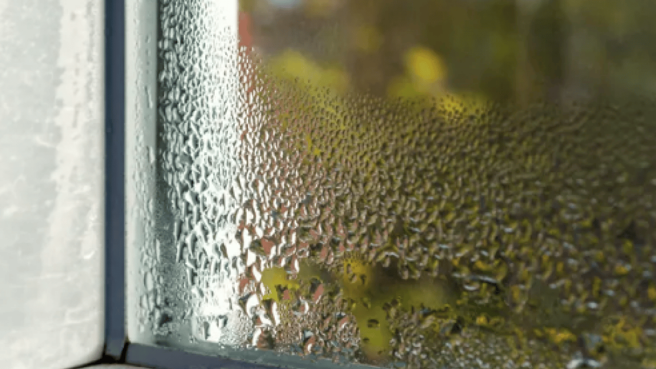 Foto - Öyle bir hamle yapın ki... Eski evlerde bile rutubeti bitiren...