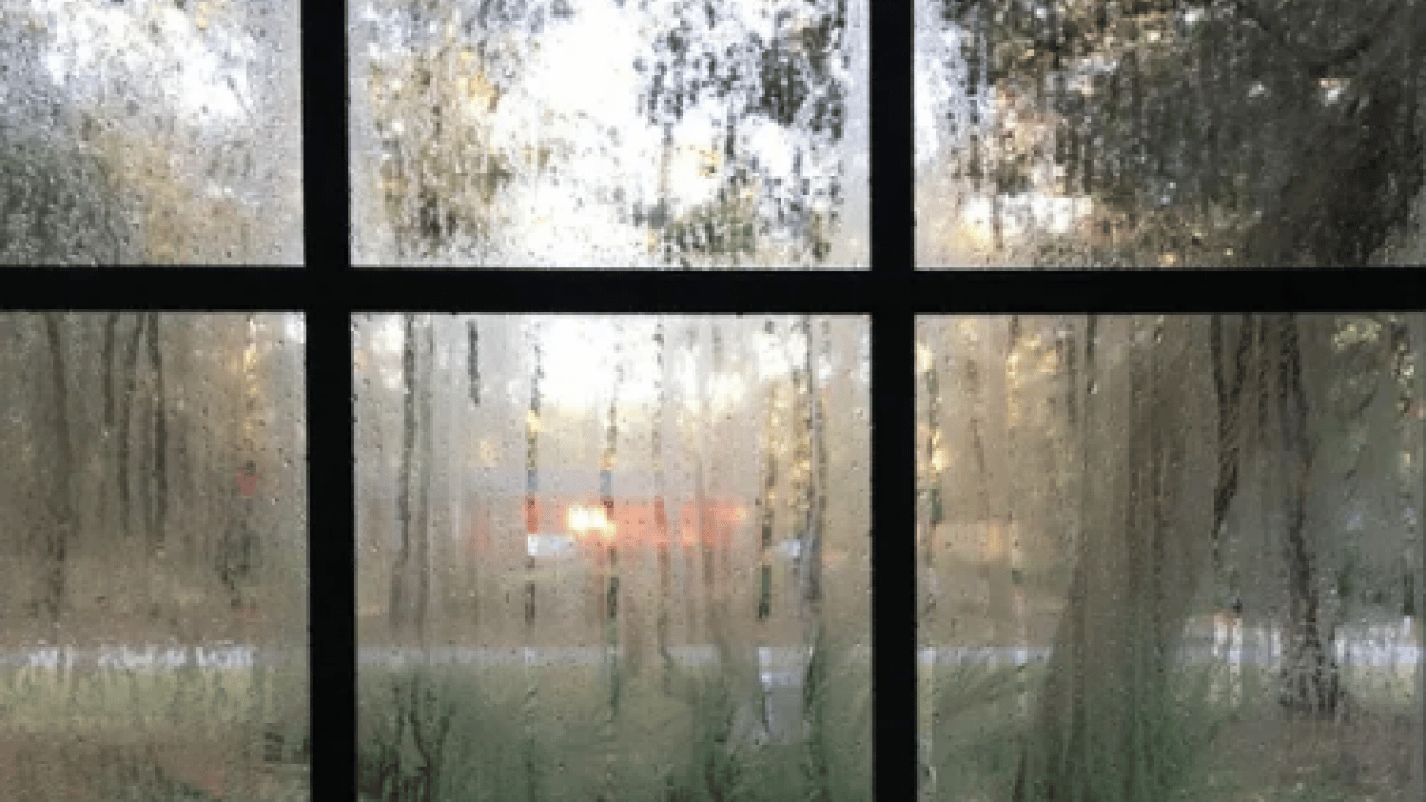 Foto - Öyle bir hamle yapın ki... Eski evlerde bile rutubeti bitiren...