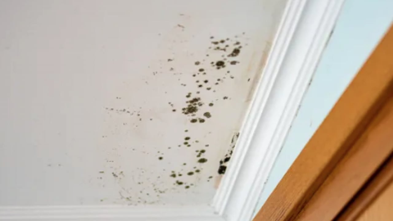 Foto - Öyle bir hamle yapın ki... Eski evlerde bile rutubeti bitiren...