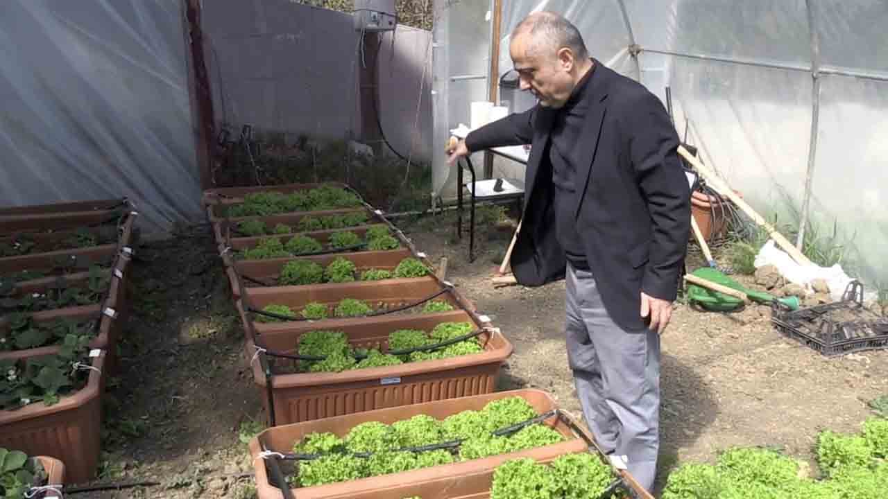 Foto - Öyle bir işe yaradı ki… Deniz dibindeki yosun deyip geçmeyin