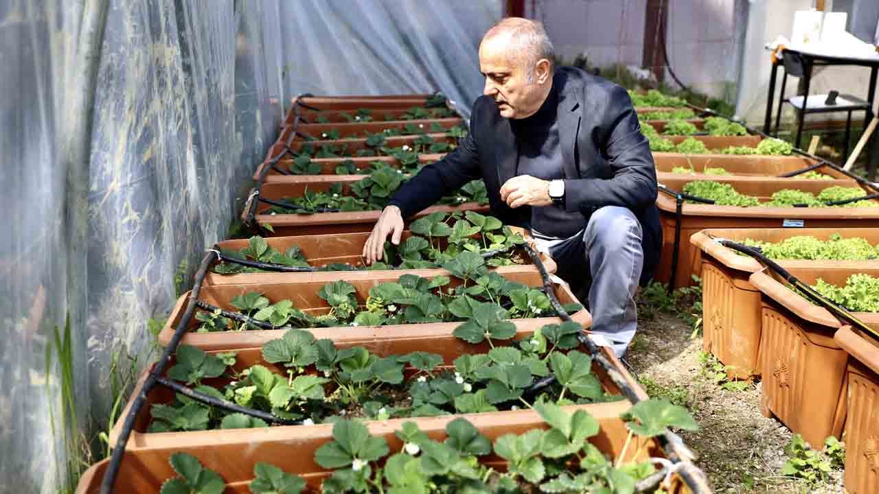 Foto - Öyle bir işe yaradı ki… Deniz dibindeki yosun deyip geçmeyin