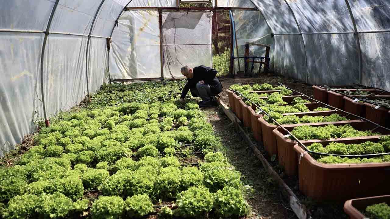 Foto - Öyle bir işe yaradı ki… Deniz dibindeki yosun deyip geçmeyin