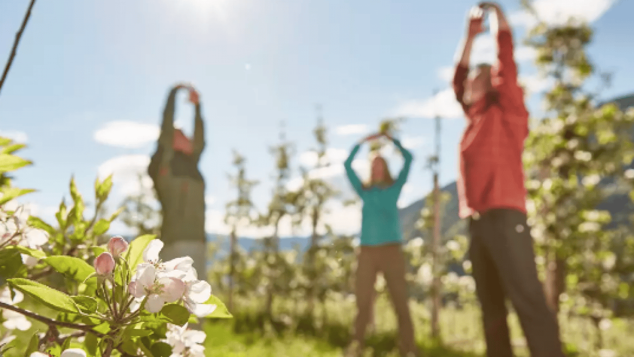 Foto - Öyle bir tabloyu yeniden inşa edebilirsiniz ki... Sağlığın dinamiti... 4 kötü alışkanlık