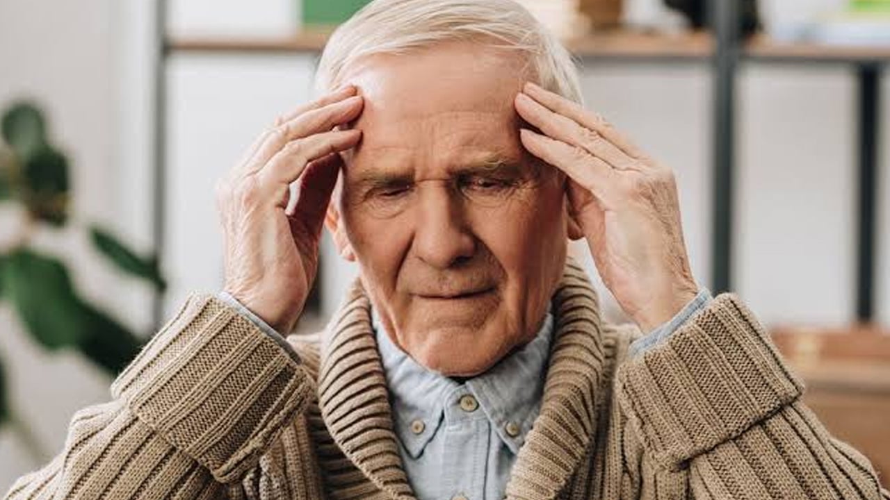 Foto - Öyle bir yararı var ki... Hafıza ve Alzheimer rahatsızlığında yaşam boyu öğrenme bakın ne işe yarar