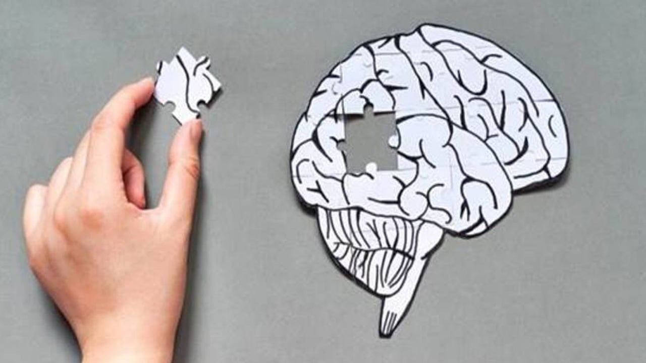 Foto - Öyle bir yararı var ki... Hafıza ve Alzheimer rahatsızlığında yaşam boyu öğrenme bakın ne işe yarar