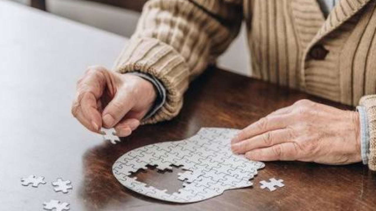 Foto - Öyle bir yararı var ki... Hafıza ve Alzheimer rahatsızlığında yaşam boyu öğrenme bakın ne işe yarar