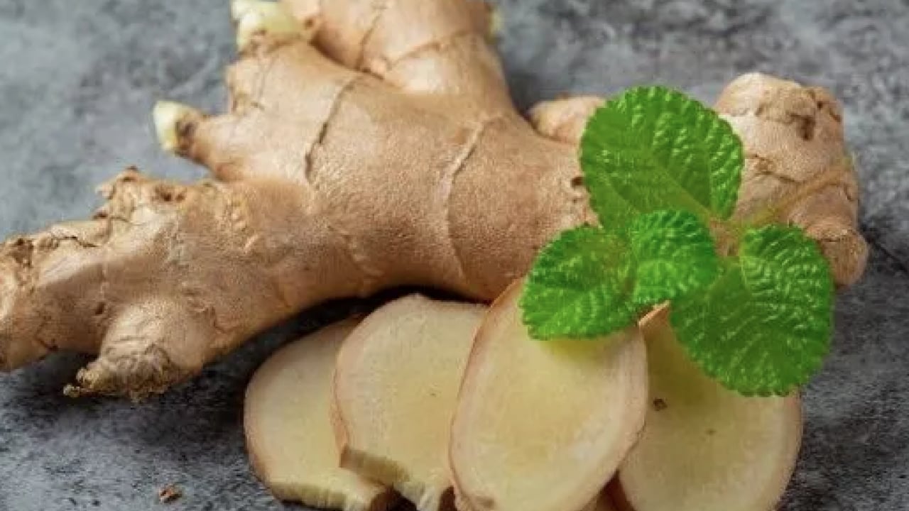 Öyle büyük faydaları var ki... Gingerol adındaki biyoaktif bileşiği ile...