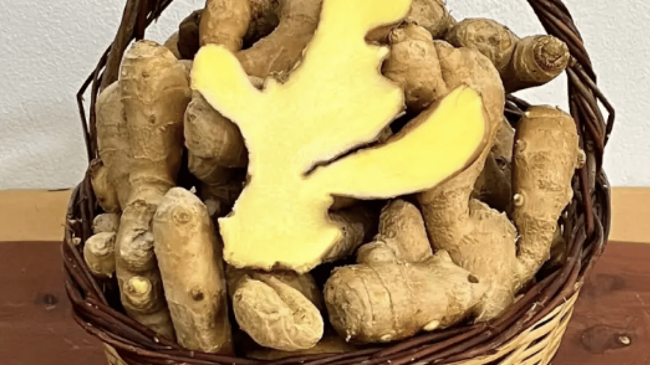 Foto - Öyle büyük faydaları var ki... Gingerol adındaki biyoaktif bileşiği ile...