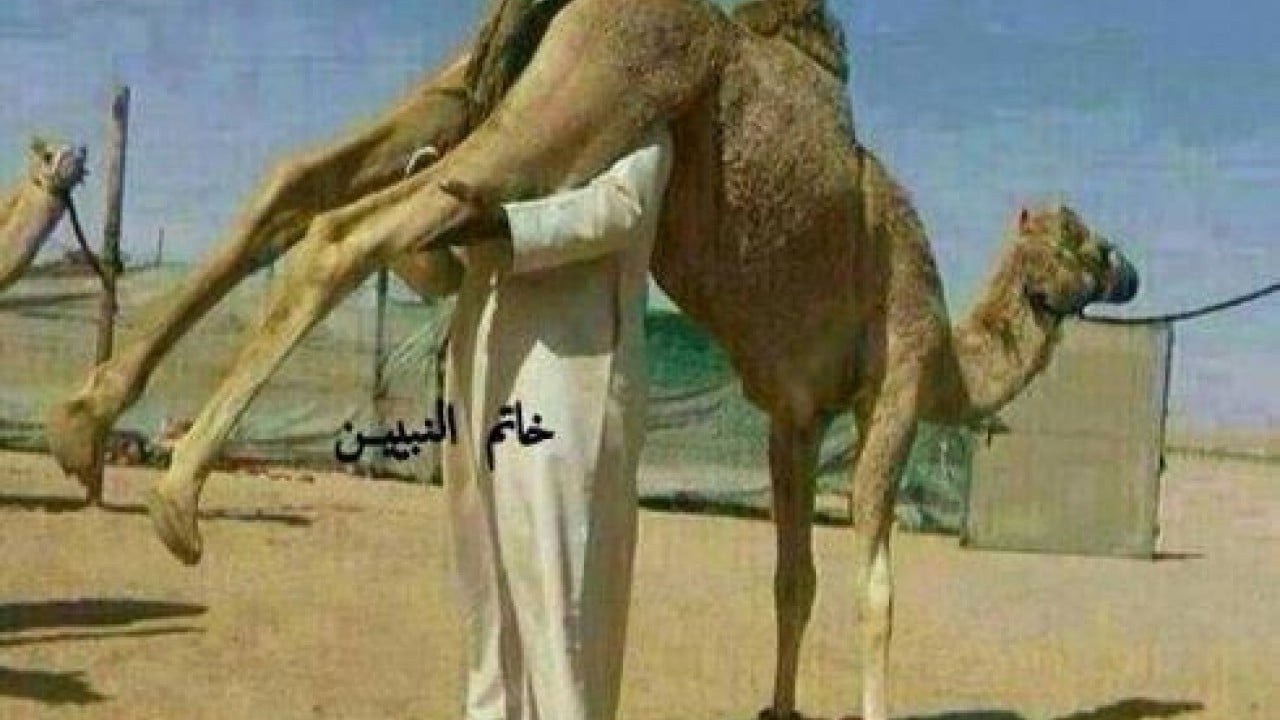 Foto - Oytun Erbaş 'adam olun' dedi ve tavsiye etti: Deve idrarı tehlikeli değil faydalıdır