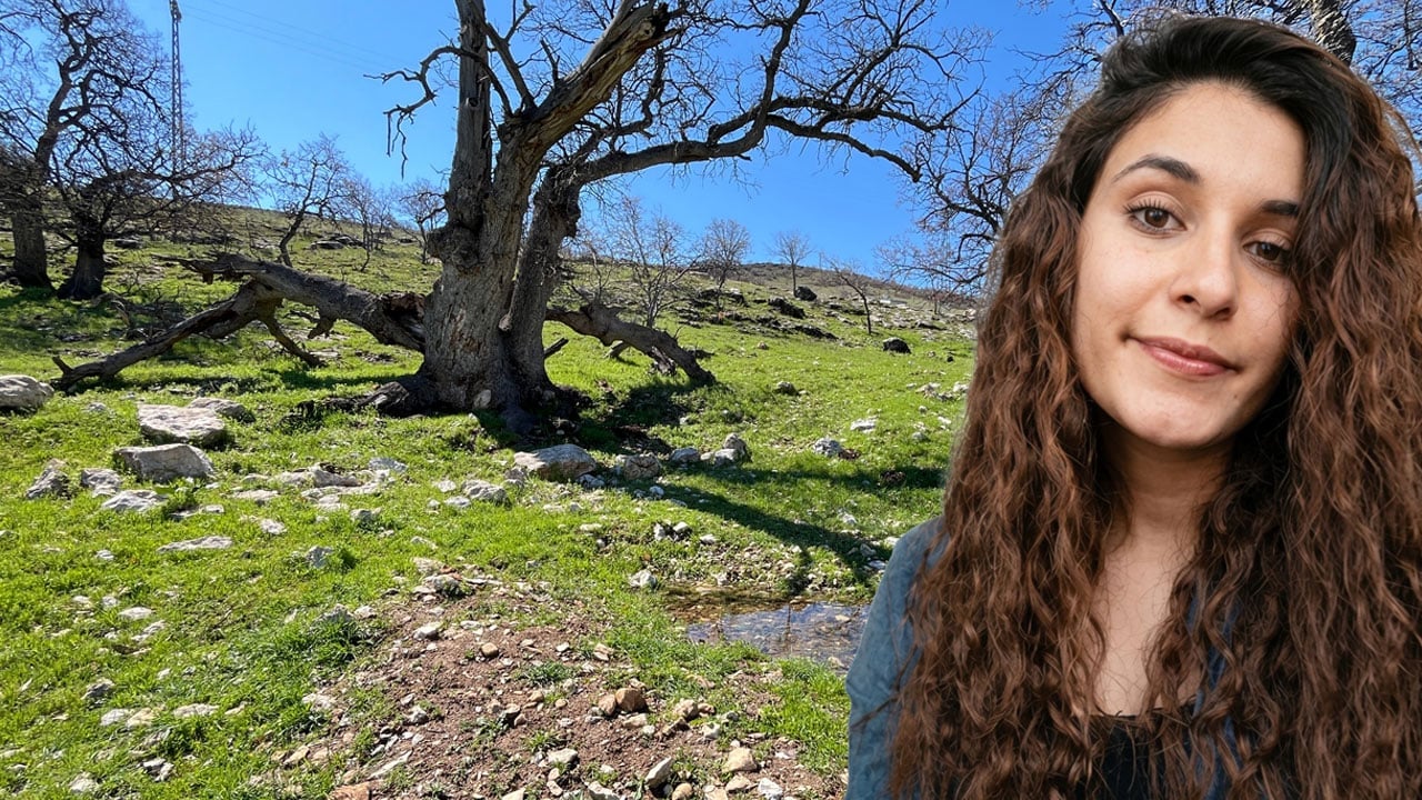 Foto - Özel ekip, 100 kilometrelik alanda Gülistan Doku'nun cenazesini arıyor