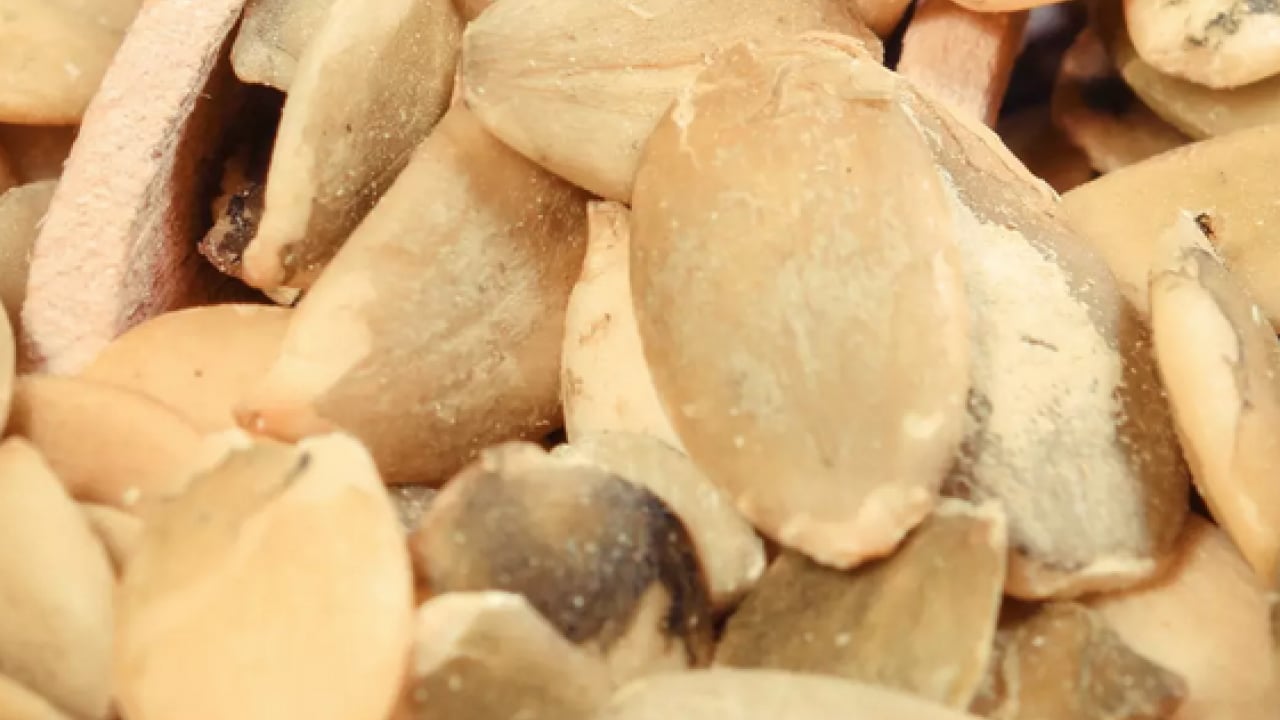 Foto - Özellikle antioksidan... Kronik hastalıkların en lezzetli ilacı: Bir avucu kalbin muhafızı