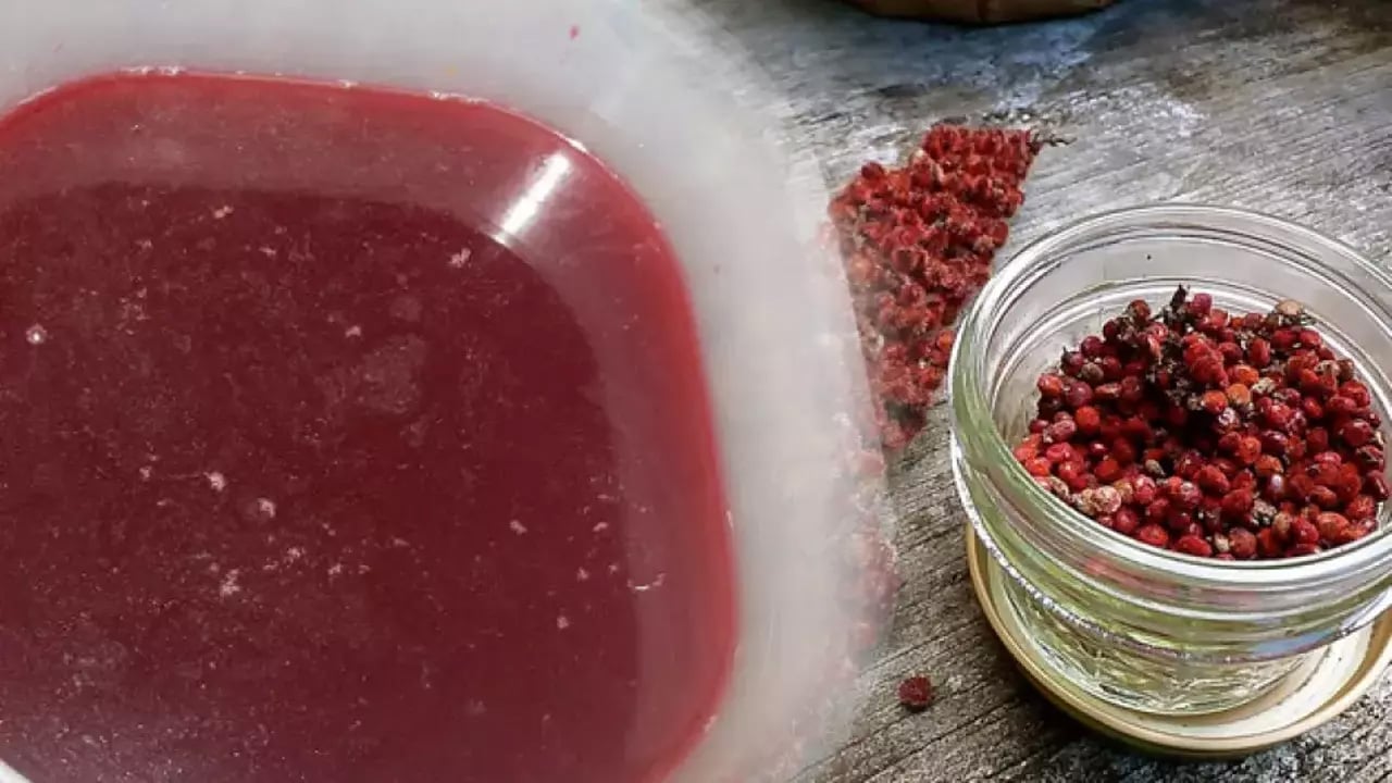 Foto - Padişah baharatı olarak kabul ediliyordu! Sumak: Ağızdaki yaraları 1 saat içinde yok ediyor! 