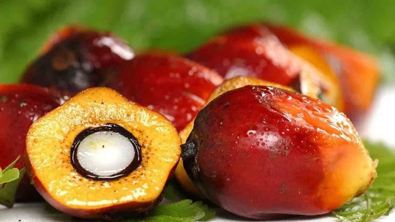 Foto - Palm Yağı ve Gluten hakkında doğru bilinen yanlışlar! Gluten hakkında her söylenen doğru değil!