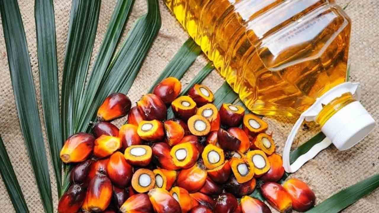 Foto - Palm Yağı ve Gluten hakkında doğru bilinen yanlışlar! Gluten hakkında her söylenen doğru değil!