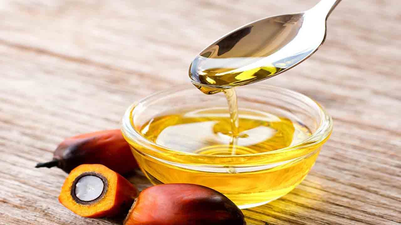 Palm Yağı ve Gluten hakkında doğru bilinen yanlışlar! Gluten hakkında her söylenen doğru değil!