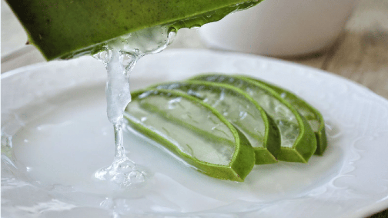 Foto - Pamuk gibi yumuşacık yapacak! Soğuktan çatlayan ellere doğal çözüm