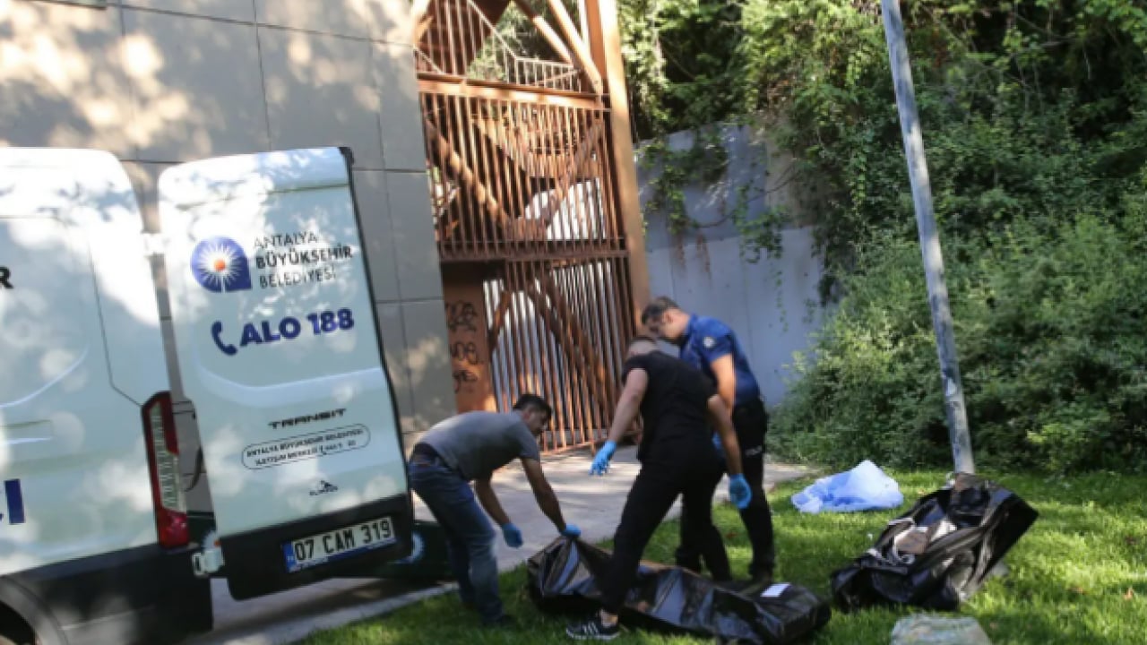 Foto - Panaromik asansörde facia: 35 metreden yere çakıldı!