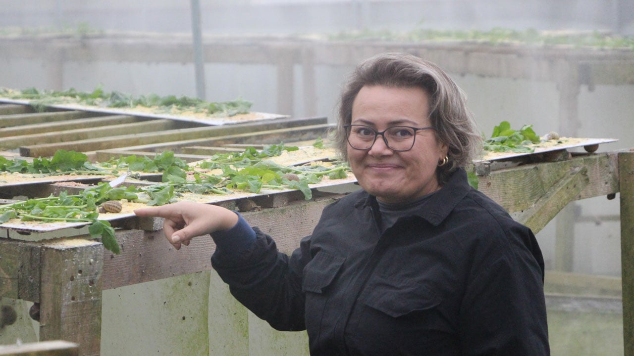 Foto - Pandemi döneminde karar verdi! Kilosunu 3 bin Euro'ya satıyor