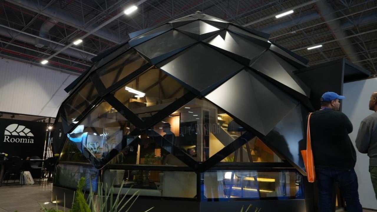 Pangolin evlerine büyük ilgi