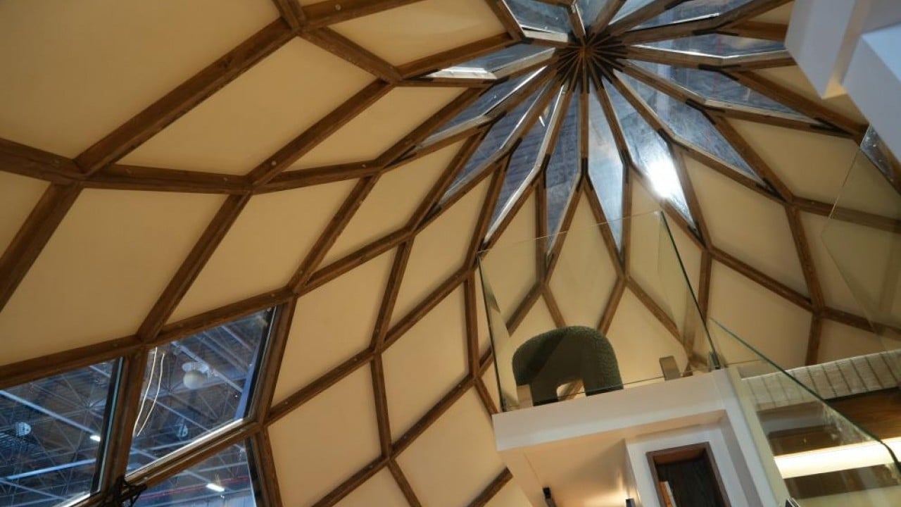 Foto - Pangolin evlerine büyük ilgi