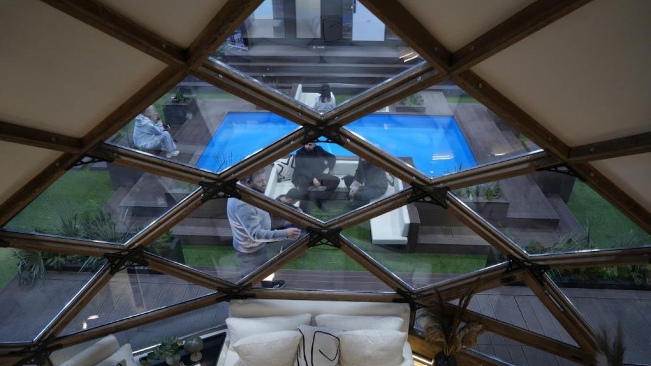 Foto - Pangolin evlerine büyük ilgi