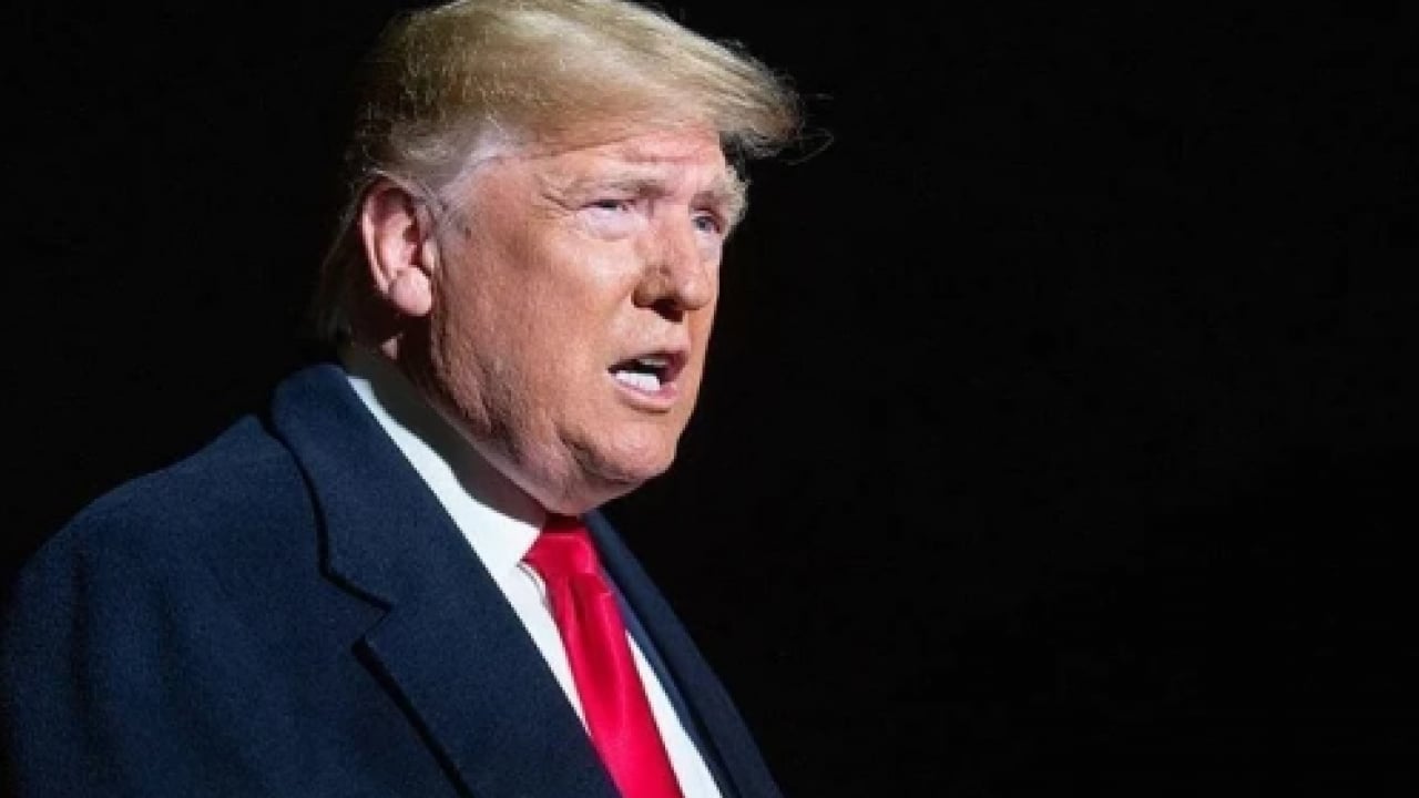Foto - Papağan Trump! İşte 30 kez tekrarladığı kelime