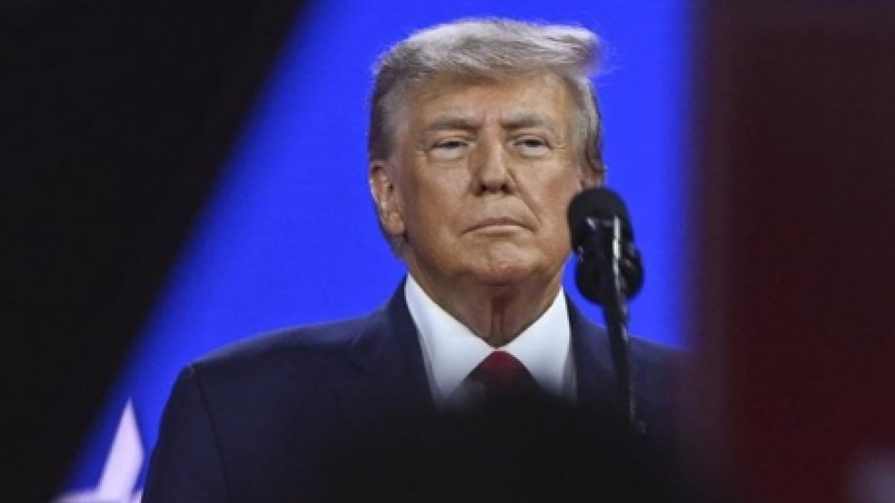 Foto - Papağan Trump! İşte 30 kez tekrarladığı kelime