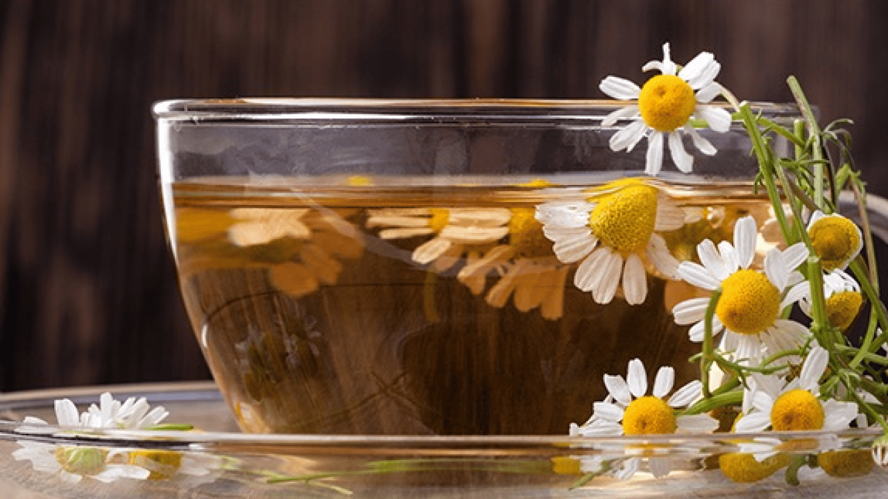 Foto - Papatya çayı: Papatya çayı etkisini ne zaman gösterir? Papatya çayının faydaları nelerdir? 