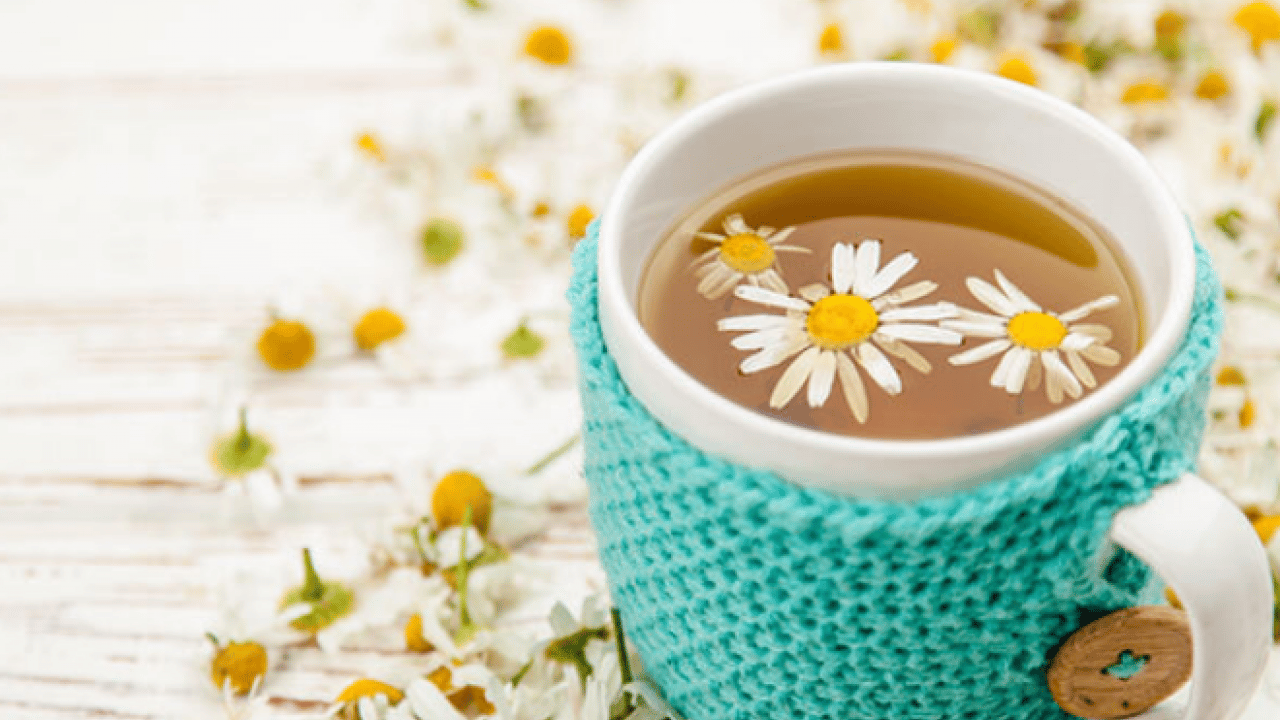 Foto - Papatya çayı: Papatya çayı etkisini ne zaman gösterir? Papatya çayının faydaları nelerdir? 