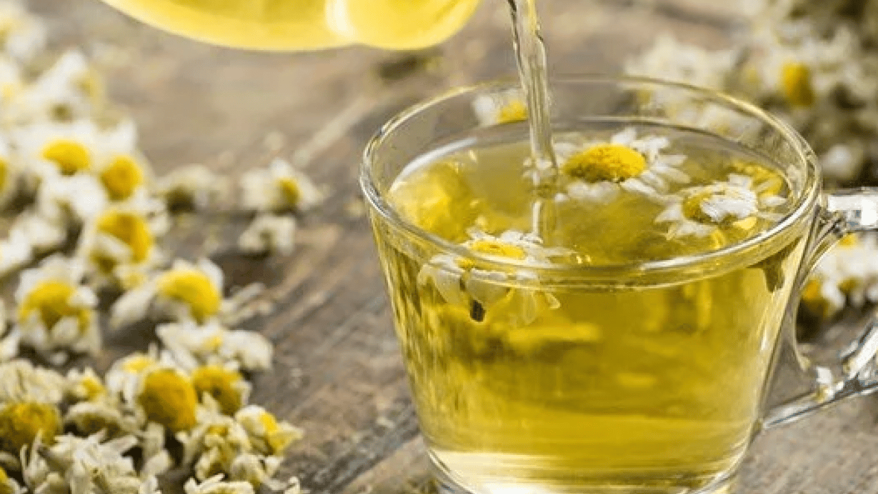 Foto - Papatya çayı: Papatya çayı etkisini ne zaman gösterir? Papatya çayının faydaları nelerdir? 