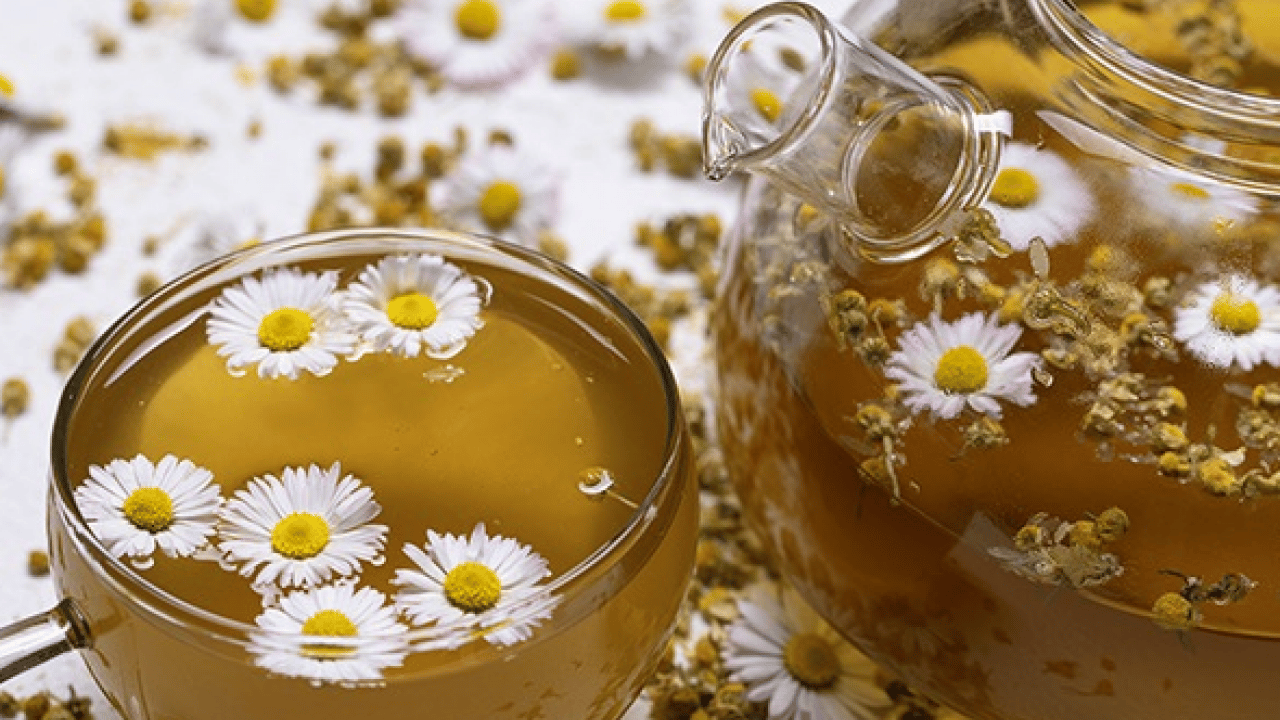 Foto - Papatya çayı: Papatya çayı etkisini ne zaman gösterir? Papatya çayının faydaları nelerdir? 