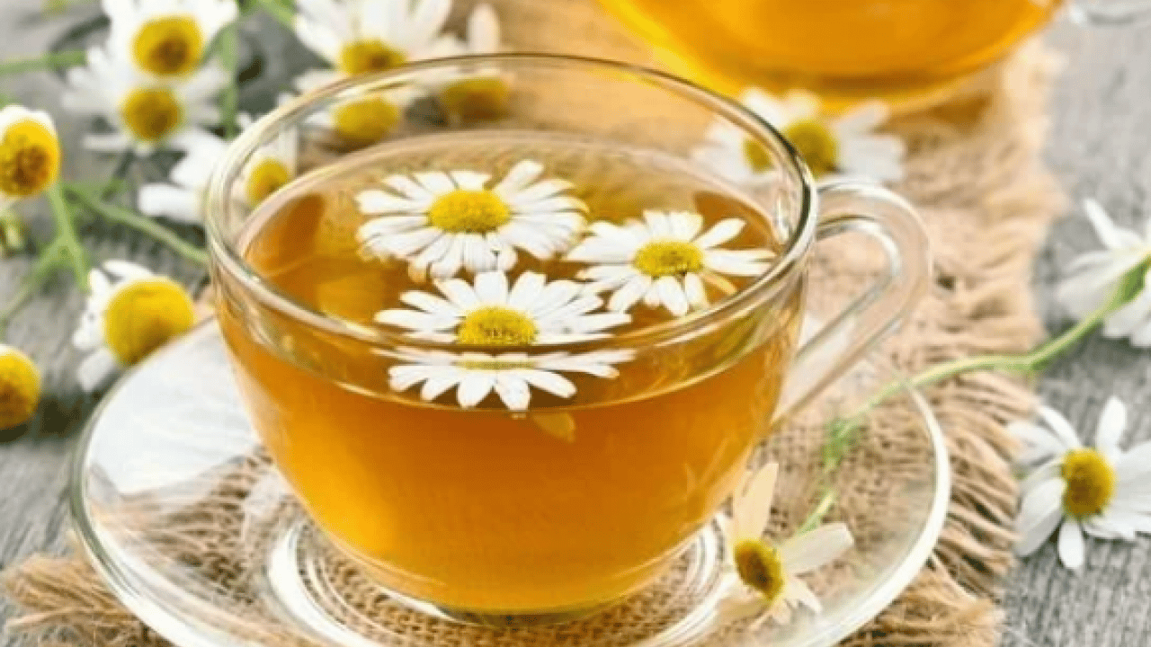 Foto - Papatya çayı: Papatya çayı etkisini ne zaman gösterir? Papatya çayının faydaları nelerdir? 