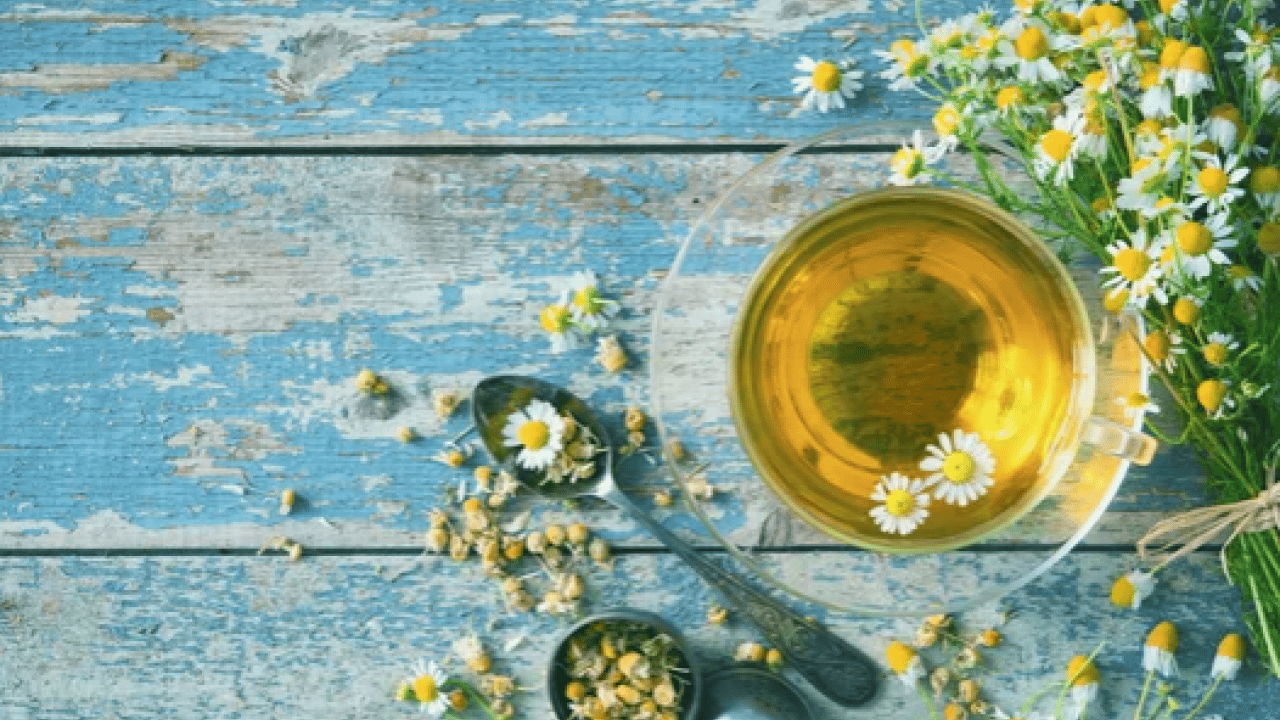 Foto - Papatya çayı: Papatya çayı etkisini ne zaman gösterir? Papatya çayının faydaları nelerdir? 