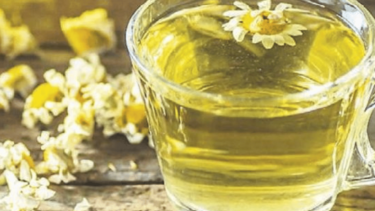 Foto - Papatya çayı: Papatya çayı etkisini ne zaman gösterir? Papatya çayının faydaları nelerdir? 