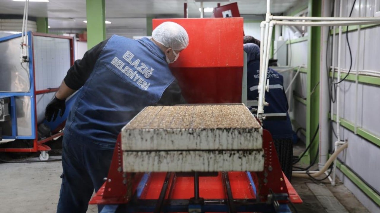 Foto - Para vermeden çiçek üretimi Jeotermal tesiste ‘Kent Çiçekleri’ yetiştiriyorlar