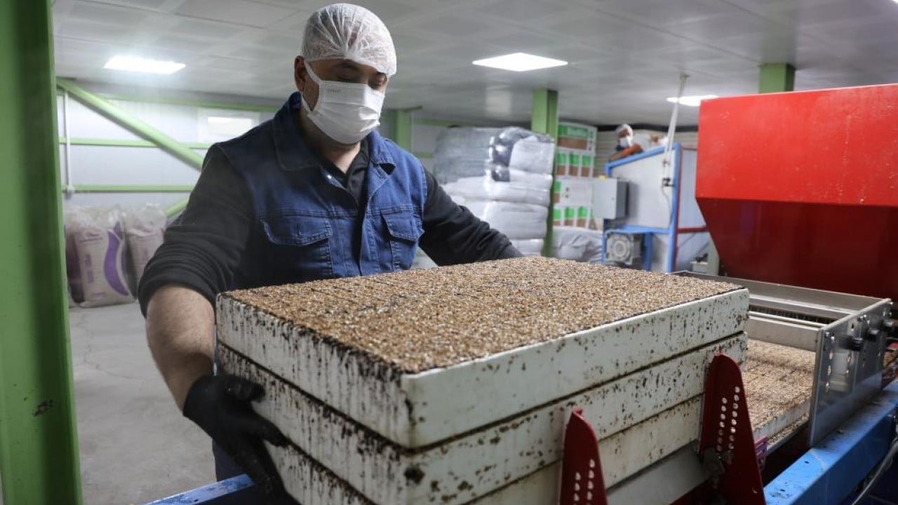 Foto - Para vermeden çiçek üretimi Jeotermal tesiste ‘Kent Çiçekleri’ yetiştiriyorlar