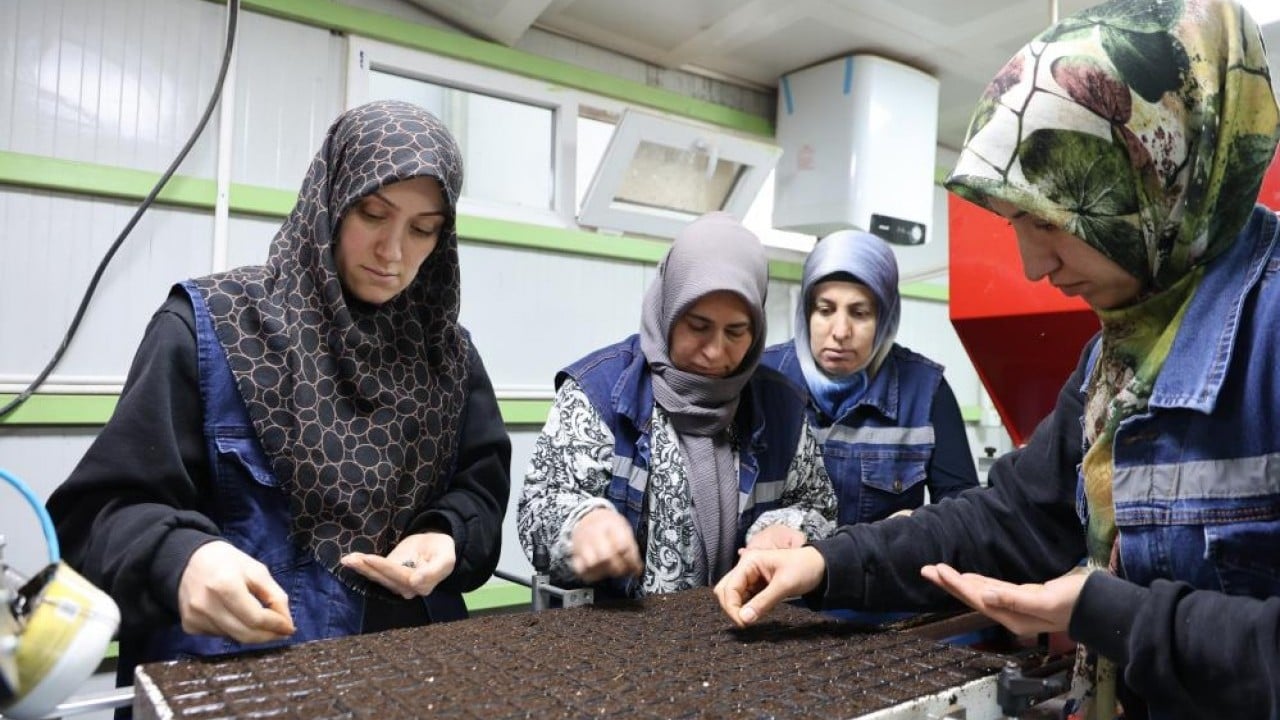 Foto - Para vermeden çiçek üretimi Jeotermal tesiste ‘Kent Çiçekleri’ yetiştiriyorlar