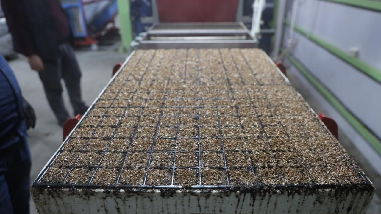 Foto - Para vermeden çiçek üretimi Jeotermal tesiste ‘Kent Çiçekleri’ yetiştiriyorlar