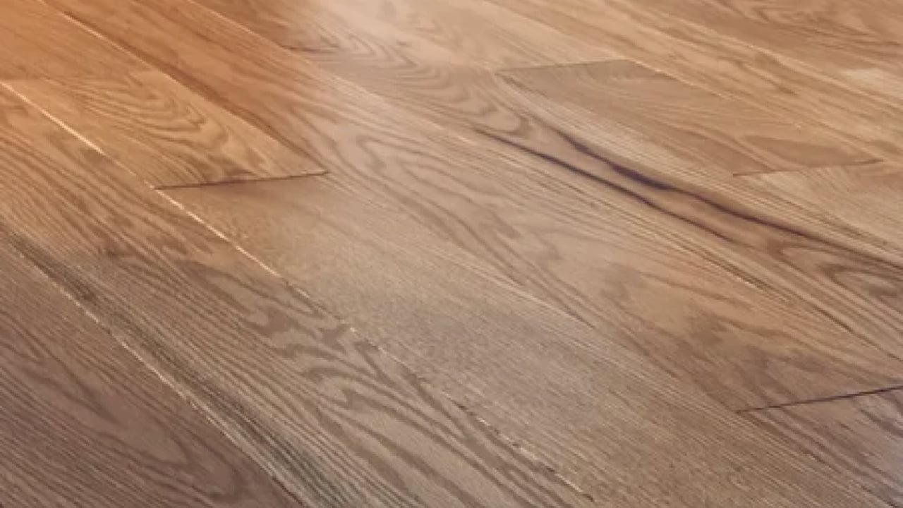 Foto - Parkelerinizi anında ayna gibi yapın! O şeyi suya sadece 2 kaşık atmak yetiyor! Her şeyi siliyor