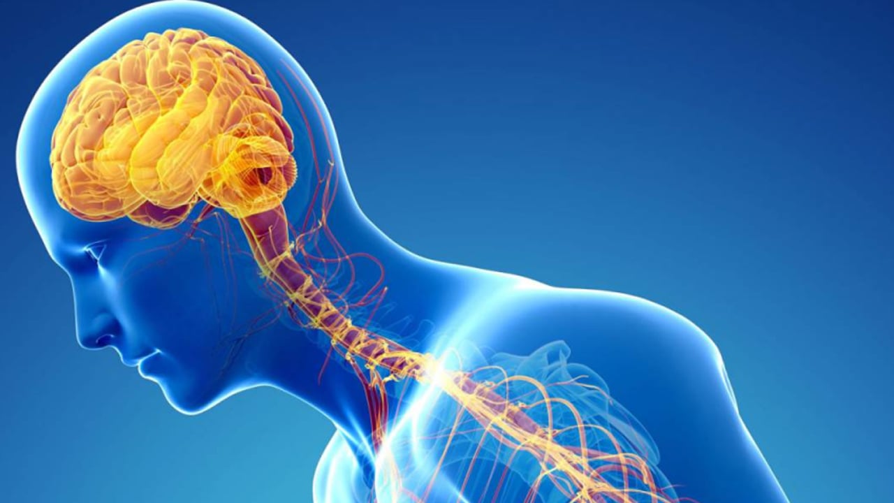 Foto - Parkinson’un eğer bu sessiz işaretleri olursa destek verin! Uzman isim bir bir tavsiye etti