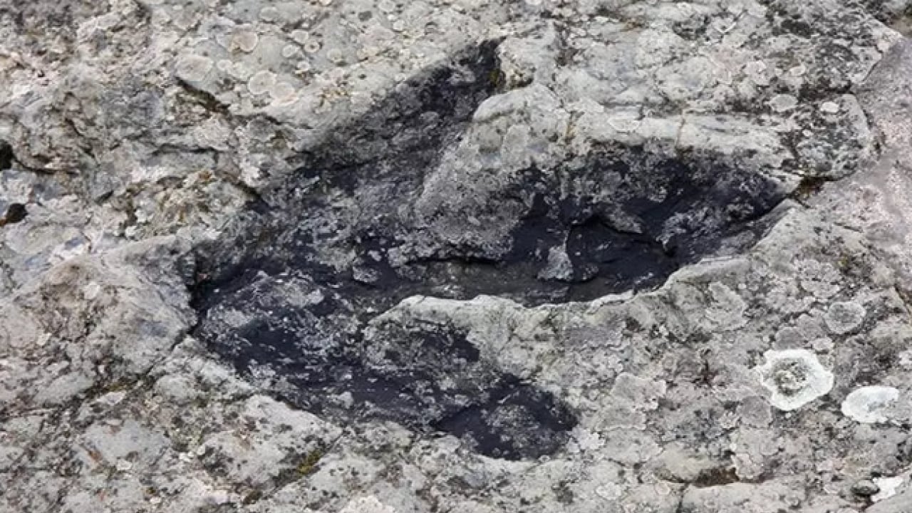 Foto - Parkta inanılmaz keşif: Bu izler tam 210 milyon yıllık!