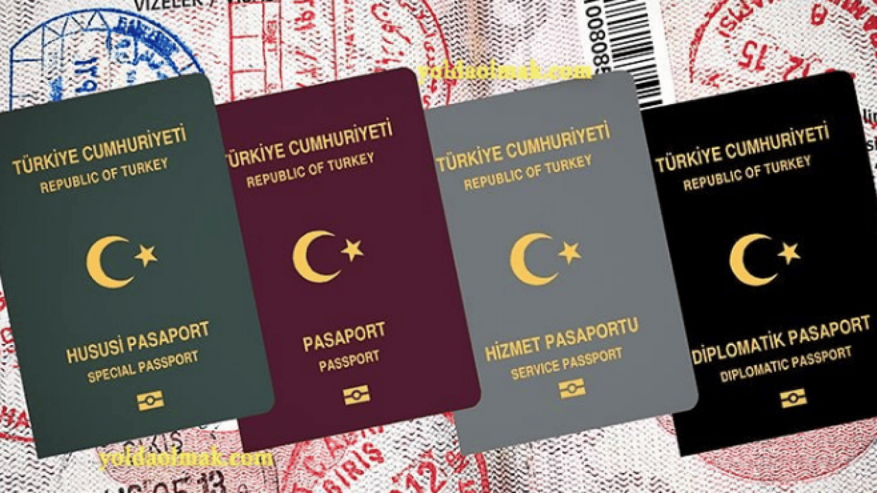 Foto - Pasaport Türleri ve Renkleri: İşte Bordo, Yeşil, Gri ve Siyah Pasaport Arasındaki Farklar