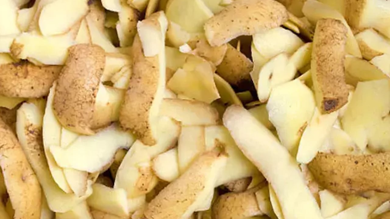 Foto - Patates kabuklarını çöpe atan bin pişman: Her evde var ama biz bunları bilmiyoruz! 