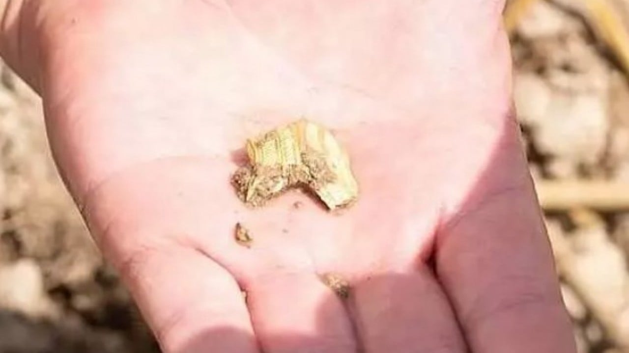 Foto - Pazar yerinden tarih fışkırdı: Tam 2500 yıllık!