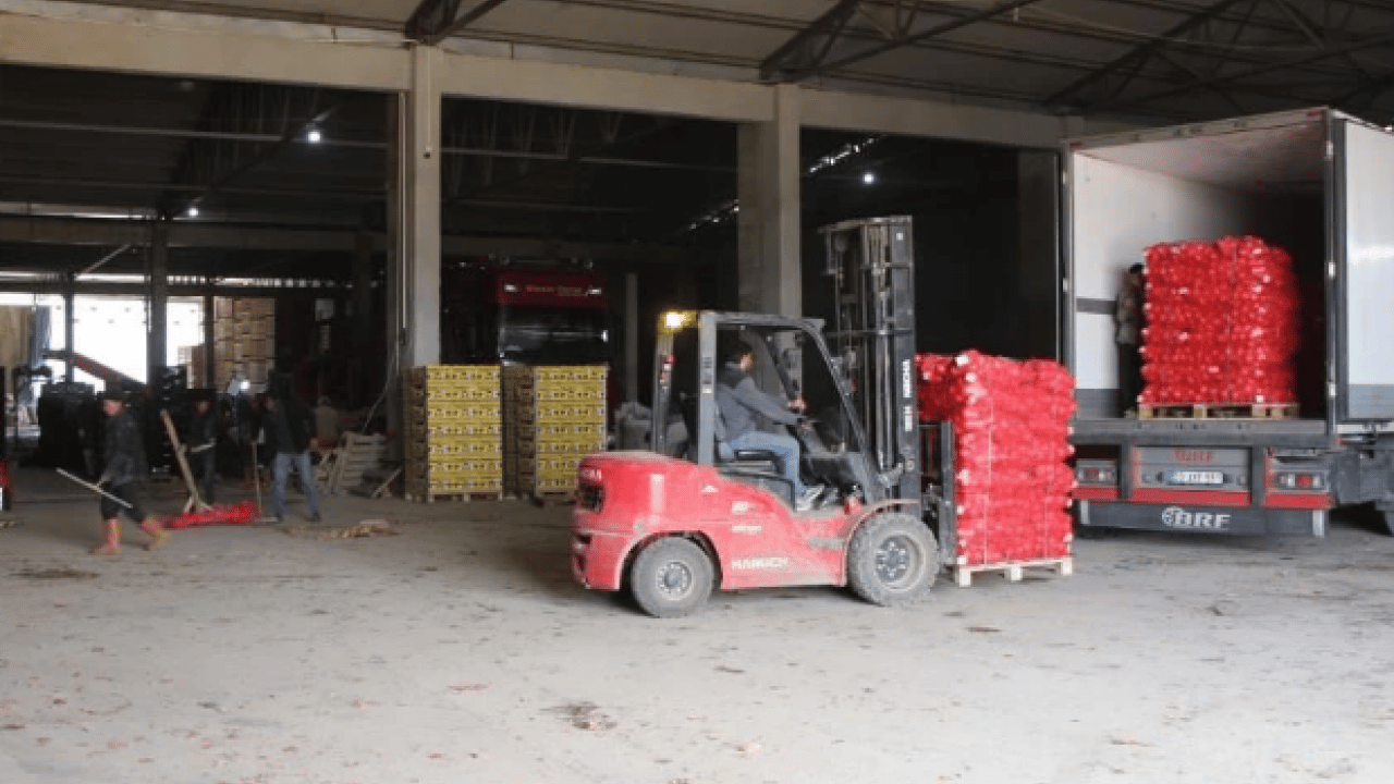 Foto - Pazarda 15 TL’ye satılıyor! Tüm dünyaya buradan ihracat ediliyor