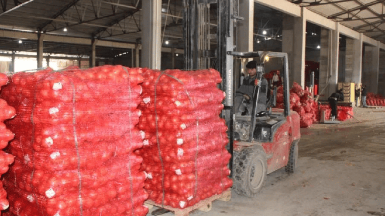 Foto - Pazarda 15 TL’ye satılıyor! Tüm dünyaya buradan ihracat ediliyor