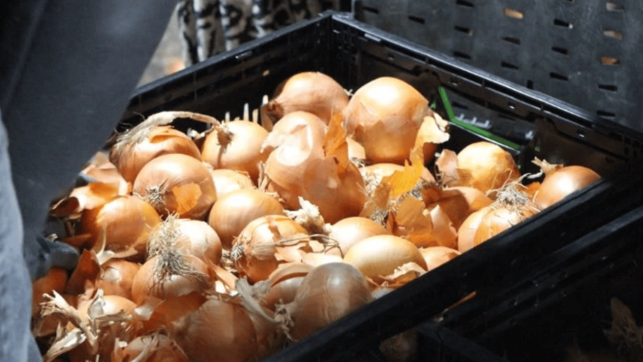 Foto - Pazarda 15 TL’ye satılıyor! Tüm dünyaya buradan ihracat ediliyor