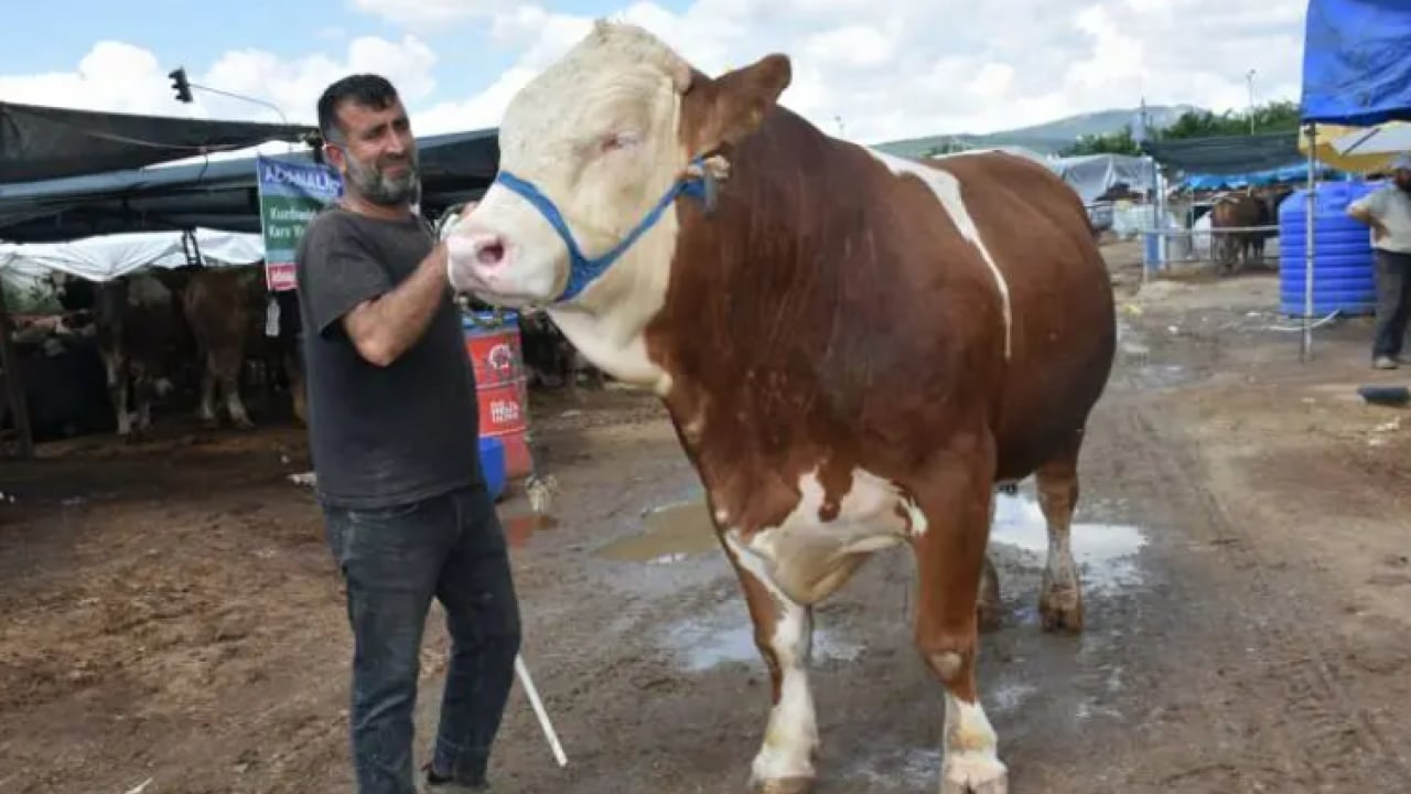 Pazarın en büyüğü satıldı! Fiyatını duyan kulaklarına inanamıyor!
